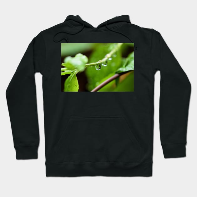 Shiny dew drop with image of a leaf Hoodie by fantastic-designs